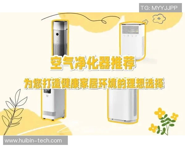 空气净化器的选购指南与使用技巧，打造健康清新室内环境的必备工具