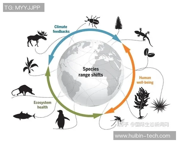 黄蜂生态与行为研究:从生物学特征到对生态系统的影响分析